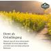 Martenbrown yellow mustard 2.5kg whole grains | Yellow mustard seed for green manure | whole white mustard - Buy Online on GoSupps.com