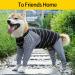 Buy Black XXL Dog Operating Suit - Breathable One-Piece Pajamas for Post-Surgery Comfort | Anti-Lick & Abdominal Wound Protection - Buy Online on GoSupps.com
