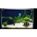 M2cbridge Aquarium Decorations Fish Hideout House Betta Cave with Green Lifelike Moss (Style 3) - Buy Online on GoSupps.com