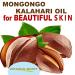 Botanical Beauty Organic MONGONGO OIL Manketti Seed Oil 100% Pure Natural Virgin Unrefined Cold-Pressed Carrier Oil for Face Skin Body Hair Lip Nails Rich in Vitamin E (0.5 Fl Oz 15 ml) - Buy Online on GoSupps.com