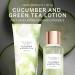 Victoria's Secret Cucumber and Green Tea Body Mist for Women Perfume with Notes of Cucumber and Green Tea Womens Body Spray Fresh Clean and Pretty Women s Fragrance - 250 ml / 8.4 oz - Buy Online on GoSupps.com