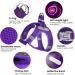Buy PCEOTLLAR LED Dog Harness - Reflective & Breathable Light Dish for Small & Medium Dogs - Purple - International Shipping Available - Buy Online on GoSupps.com