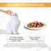 PURINA GOURMET Gold Tender Bites Wet Cat Food with Chicken & Liver - Pack of 12 (85g each) | International Shipping - Buy Online on GoSupps.com