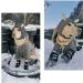 Hipaw XL Outdoor Dog Boots - Winter Dog Shoes Non-slip for Snow Rain - Black - Insole width 3.15 - Buy Online on GoSupps.com