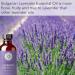 Bulgarian Lavender Essential Oil 4oz - 100% Pure Therapeutic Grade for Aromatherapy | Pure Body Naturals - Buy Online on GoSupps.com