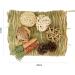 LLGLEU 2 Pcs Grass Mat for Rabbit with 4 Play Balls Pine Cone Carrot Bunny Chew Toy Natural Woven Bed Mat Molar Teeth Set for Guinea Pig Chinchilla Squirrel Hamster and Small Animal (Typ1) - Buy Online on GoSupps.com