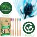 EcoShoots Adults Bamboo Toothbrushes with Medium Bristles | Family Pack of 5 Natural Bamboo Toothbrush | Eco-Friendly Natural Wooden Toothbrush | Organic Biodegradable Handle | BPA Free Tooth Brushes Medium 5 Pack - Buy Online on GoSupps.com