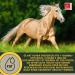 Rice Germ Oil Flaxseed Oil Amino Acids 2*1L 30ml for Horses Plus Vitamin E + Amino More Complex Muscle Building Selenium Free Lysine Replenishing Food Supplement - Buy Online on GoSupps.com