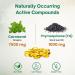 NutraVora Oil of Oregano with Black Seed Oil Capsules Dietary Supplement for Immune & Respiratory Wellness Support with Carvacrol & Thymoquinone Non-GMO Gluten-Free 300 Softgels - Buy Online on GoSupps.com