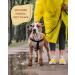 Pawcasins Dog Shoes: Dog Boots & Paw Protectors for Medium, Large, and Small Dogs - Snow, Rain, Winter, Summer - Size 1 (1.9 x 2.3) - Buy Online on GoSupps.com