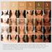 Woosh Beauty The Fold Out Face with Secret Brush 2.5 Med Tan - Medium Tan - Buy Online on GoSupps.com