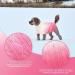 Cit toile Warm Winter Dog Sweater | Soft Knitted Turtleneck Coat for Small & Medium Pets | Color Gradient Pink for Cold Weather - XS & X-Small - Buy Online on GoSupps.com