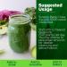 Synergy Natural Organic Wheat Grass Powder 500g - Pure and Potent Superfood - Buy Online on GoSupps.com