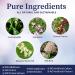 BioPure Quintessence Botanical Tincture - Immune Support with Astragalus & Japanese Knotweed - 4 fl oz - Buy Online on GoSupps.com