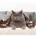 4-Pack Dog and Cat Soft Warm Fleece Blanket with Paw Print Design for Home, Camping, and Car Seat - Juqiboom - Buy Online on GoSupps.com
