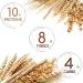  Line Diet Line 8 Keto Protein Cereals - 4g of carbohydrates 1g of sugars 10g of protein per croissant - Made in Italy 8 x 50g brioche - Keto snack high in protein low in - Buy Online on GoSupps.com
