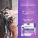 Buy Anti Fungal Shampoo for Men & Women - Medicated Anti Dandruff Folliculitis Treatment for Itchy Scalp | Paraben & Sulfate Free | Includes Dandruff Brush - Buy Online on GoSupps.com