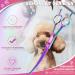 Professional Curved Dog Care Scissors - Safe Round Pointed Pet Fur Scissors for Dogs & Cats | Japanese 440C Stainless Steel | Rainbow Design - Buy Online on GoSupps.com