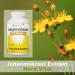 St. John's Wort Extract 5000 mg - 240 High-Dose Capsules with B Vitamins - 15:1 Extract - Made in Germany - International Shipping Available - Buy Online on GoSupps.com