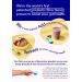 myota Gut Booster Prebiotic Fibre Supplement 300g - Supports Digestive Health, Bloating & Regularity - 1/3 NHS Daily Fibre - Gluten Free Vegan - Suitable for Adults & Kids - 100% Natural - Low-FODMAP - Buy Online on GoSupps.com
