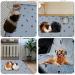 Pick for Life 2-Piece Pipi Pads - Super Absorbent Washable Pee Pads for Guinea Pigs Hamsters Rabbits & Dogs (90x100cm) - Buy Online on GoSupps.com