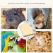YINETTECH 4x Hamster Chinchilla Wood Springboards Wooden Rectangle Pet Stand Board Platform with Screw Nut Washer for Small Animal Pet Toy - Buy Online on GoSupps.com