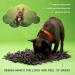 Paw 5 Dog Snuffle Mat - Interactive Feeding & Training Toy for Small Dogs | Reduces Boredom & Anxiety | Brain Stimulating Activity Mat + Slow Eating & Smell Training | Small Dog Bed Included (12 x 18) - Buy Online on GoSupps.com