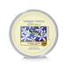 Yankee Candle Midnight Jasmine Scenterpiece MeltCups white Midnight Jasmine Scenterpiece MeltCup
