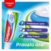  Colgate Colgate Triple Action Toothpaste 12 Packs of 75 ml | Fluoride | Caries Protection | For the Whole Family - Buy Online on GoSupps.com