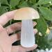 Home Decoration Natural Selenite Crystal Quartz Polished Mushroom Reiki Gypsum Crafts Decoration Stones 1 piece - Buy Online on GoSupps.com