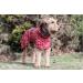 Rukka Pets HAYTON WARM Raincoat for Dogs - Carmine Red | Premium Waterproof Dog Jacket | International Shipping Available - Buy Online on GoSupps.com