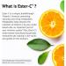 American Health Ester-C 500 mg with Citrus Bioflavonoids - 120 Capsules (Pack of 2) - 24-Hour Immune Support - Non-GMO Gluten Free - 120 Total Servings 120 Count (Pack of 2) - Buy Online on GoSupps.com