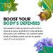 BHI Flu + Cold Multi-Symptom Relief - Natural Non-Drowsy Remedy with 11 Homeopathic Active Ingredients - 100 Tablets - Buy Online on GoSupps.com