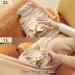 Naanle Beach Wood Seestern Hot Water Bottle with Cover - 1L Transparent Heat Bottle for Bed Hand & Feet Warmer Pain Relief & Cold Therapy - International Shipping Available - Buy Online on GoSupps.com