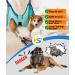 Kkiimatt Pet Care Hammock Harness for Small Dogs - Dog Care Hammock with Nail Clipper XL Wide Strap Hooking System - Buy Online on GoSupps.com