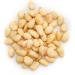 Yupik Organic Pine Nuts 250g Raw Shelled Unsalted Unroasted Oil-Free Gluten-Free Vegan Kosher Source of Iron Creamy Pine Kernels Ideal for Cooking Salads & Pesto - Buy Online on GoSupps.com