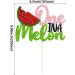 1 Pack Watermelon Cake Topper One in a Melon Cake Pick Watermelon First Birthday Baby Girl 1st Birthday Party Cupcake Decoration Supplies G 1pc - Buy Online on GoSupps.com