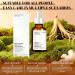 Multi-peptide Serum for Hair Density Peptides Hair Growth Serum Pousse de Cheveux Pr vient la Chute Des Cheveux Rafra chissant et Non Gras Convient Aux Hommes et Aux Femmes 30ml - Buy Online on GoSupps.com