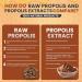 Pure propolis powder (100g) 100% natural. You receive a flat disc (the compact powder being a resin). Propolis not heated directly from the beekeeper. Natural defenses. - Propol-mel - Buy Online on GoSupps.com