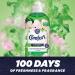 Comfort Creation Concentrated Fabric Conditioner with 100 Days of Long Lasting Fragrance and Softness Intense Liquid Fabric Softener 30 Washes 900 ml (Apple Blossom Buy 2) - Buy Online on GoSupps.com