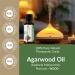 AGARWOOD (AQUILARIA MALACCENSIS) OUD OIL 100% Pure Undiluted Natural Uncut Therapeutic Grade Steam Distilled Essential Oils For Skin Hair And Aromatherapy 5000ML - Buy Online on GoSupps.com