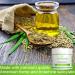 VITASEI Cannaxine Instant Numbing Cream - Maximum Strength with Hemp Seed Extract - 4 Oz for Sore Muscles & Joints - Buy Online on GoSupps.com
