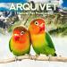 Arquivet Plastic Bird Drinker - 13cm - 85cc - Bird Water Container for Feeding and Accessories - Buy Online on GoSupps.com