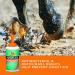 Absorbine Hooflex Therapeutic Conditioner Liquid 15oz with Applicator Brush - Buy Online on GoSupps.com