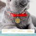 Personalized Ibera Gifts - Engraved Cat Collar for Medium to Large Cats | Glitter Gold Design - Buy Online on GoSupps.com