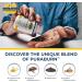 Simple Promise Cleanse & Metabolism Bundle Supports Digestive Health & Metabolic Function PuraBurn & Levitox for Liver Support Gut Balance & Energy 60 Capsules Each (30-Day Supply) - Buy Online on GoSupps.com