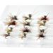 Trout Fly Fishing Flies Assortment - Outdoor Planet 12 AC Caddis Mayfly Nymph Dragonflies Stonefly Hopper Dry Flies - Buy Online on GoSupps.com