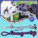 GaiusiKaisa XL Dog Chew Rope Toys for Aggressive Chewers 5 Pcs Indestructible Dog Toys for Large and Medium Dogs Cotton Dog Rope Toys Tough Dog Bones for Aggressive Chewers Large Breed XL-5pcs - Buy Online on GoSupps.com
