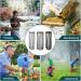 3 Pack Mosquito Head Net Shield for Outdoor Activities - Grey/Black/Dark Green - Buy Online on GoSupps.com