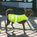High Visibility Dog Safety Vest - Reflective Pet Vest for Enhanced Visibility & Protection - Buy Online on GoSupps.com